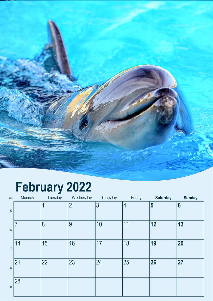 Dolphin Schedule 2022 Dolphin 2022 Calendar Personalised A4 – Personaprint.co.uk