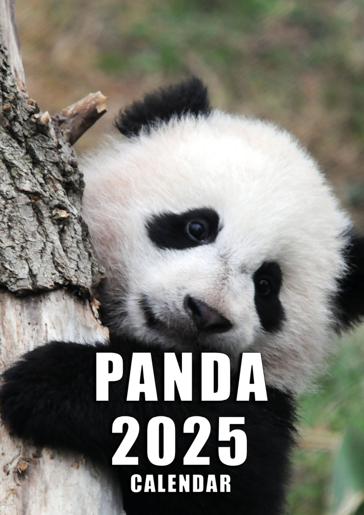 2025 Panda Calendar – personaprint.co.uk