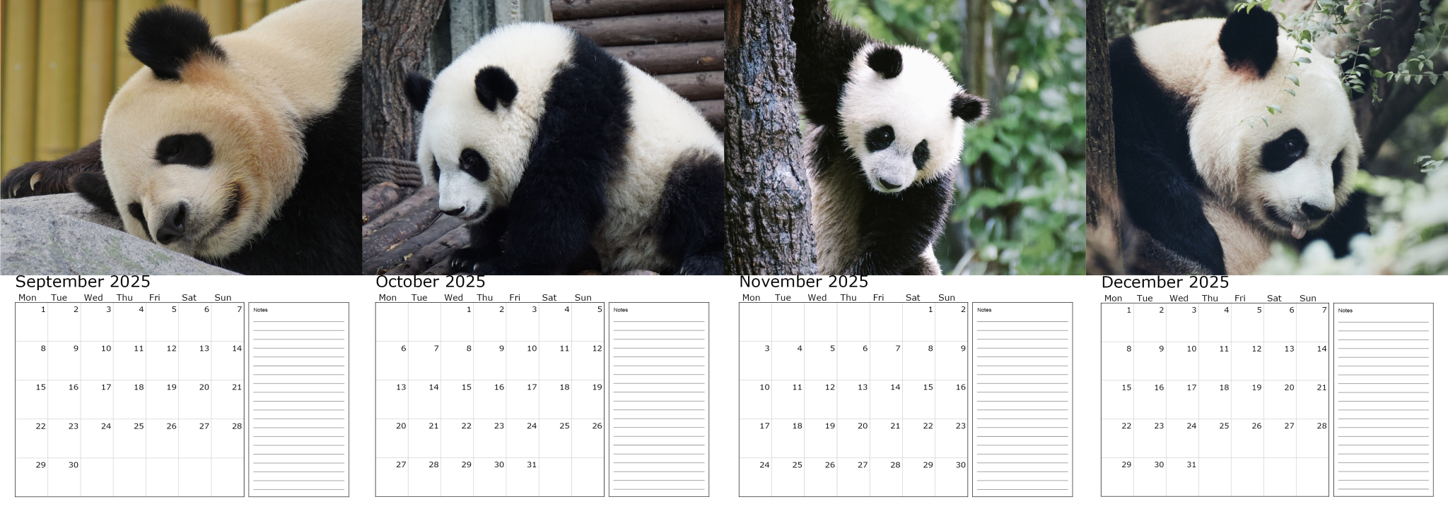 2025 Panda Calendar – personaprint.co.uk